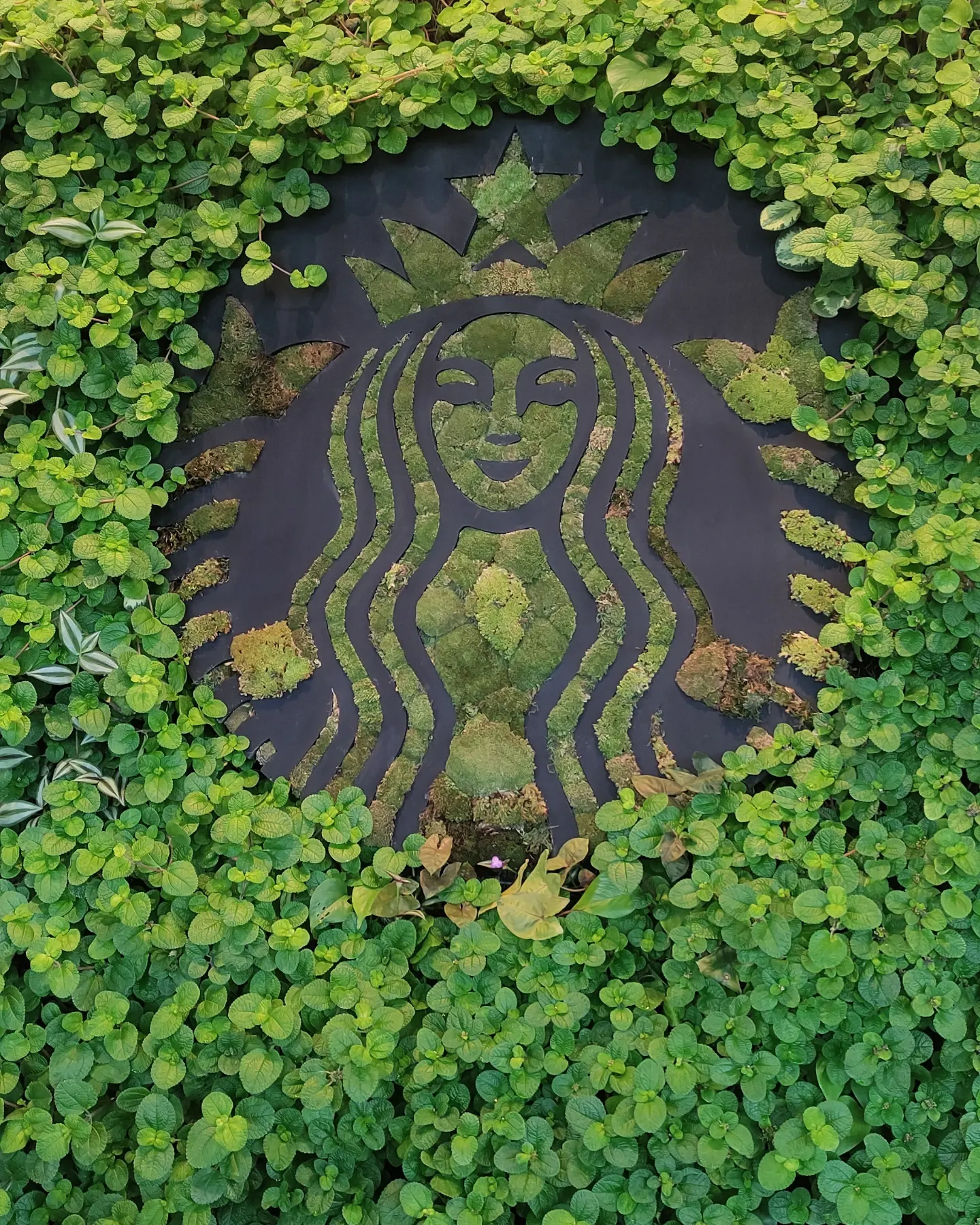 Tours – Tony Costa Rica